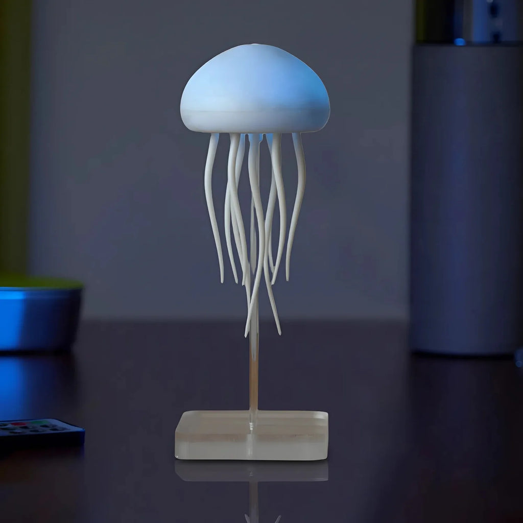 Jelly fish lamp
