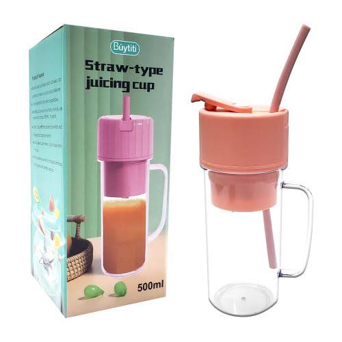 Straw type portable juice blender